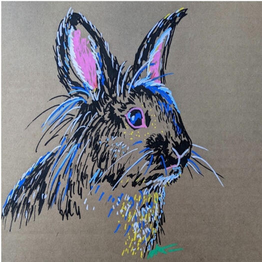 Magic Rabbit Magic Rabbit