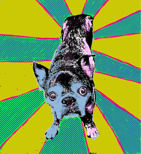 some Bugsby's watching you